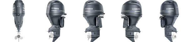 Buy Yamaha F75 HP Outboard for Sale