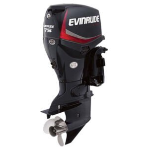 Buy 2018 Evinrude E-TEC 75 HP E75DPGL Outboard Motor